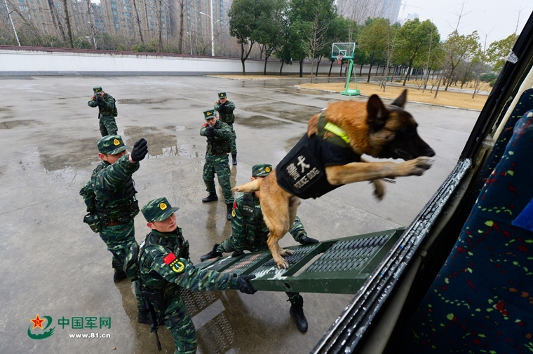 连续3天！三艘特色海船，亮相福州！如何预约参观？  