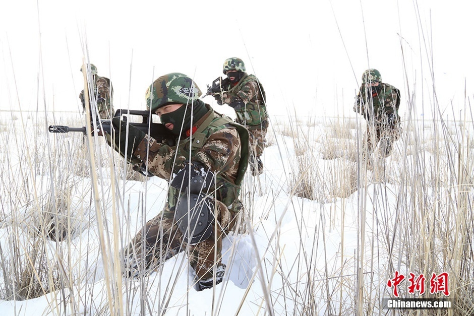 三生三世十里桃花番外378·碧海苍灵居然下雪了，但竟是不祥之兆 